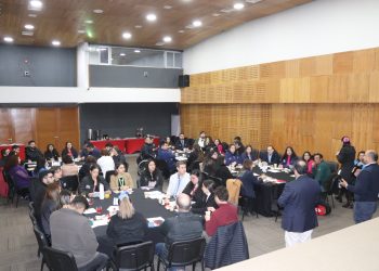 Sence Maule realizó taller participativo