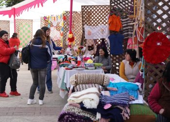Entre tejidos y lanas se realizó “Expo Market Maule Agrupación de Mujeres” de Parral