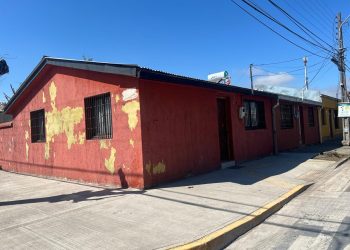 Innovador proyecto para combatir termitas en Curicó logra luz verde