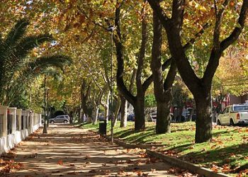 Talca mejora índice de calidad de vida urbana según estudio de la CChC y PUC