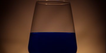 ProChile: exportaciones de vino del Maule llegan a US$ 249 millones en 2024