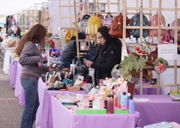 Expo Market Maule Programa Jefas de Hogar de Constitución tendrá su cuarta versión