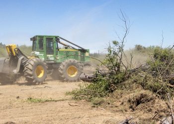 Conaf Maule implementó 25 km de cortafuegos en el sector de Nirivilo–Rastrojos de San Javier