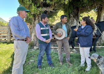 Autoridades verifican normal funcionamiento de veranadas