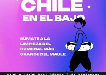 Jóvenes de “Completemos Chile” celebrarán con masiva limpieza del Humedal El Bajo que la región tenga su primer humedal urbano