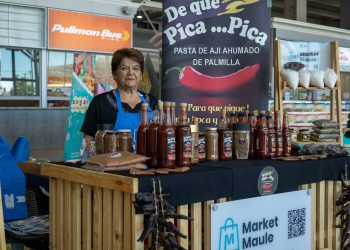 Emprendedores Market Maule aprovechan espacios de Paseo Portal Linares