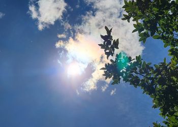 ¿Te sientes cansado y débil? Podría ser falta de Vitamina D