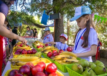 Gobierno lanza Plan Integral para el Bienestar de Niños, Niñas y Adolescentes en la región del Maule