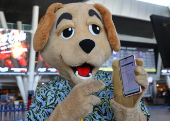 SAG lanza chatbot con inteligencia artificial para orientar a quienes salen con sus mascotas fuera de Chile