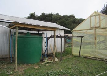 INIA Rayentué impulsa más de 4.000 cosechadores de agua-lluvia en Chile