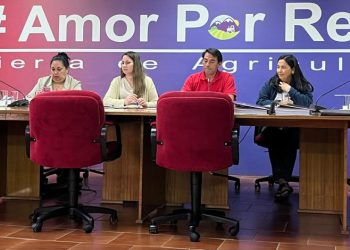 Entrada a piscina municipal de Retiro será gratis este verano