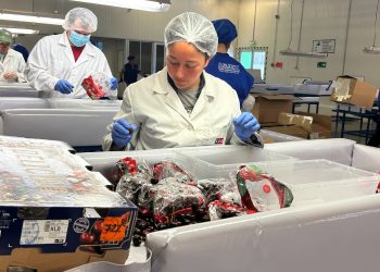 Autoridades verifican operatividad de Sitio Teno de Inspección Fitosanitaria