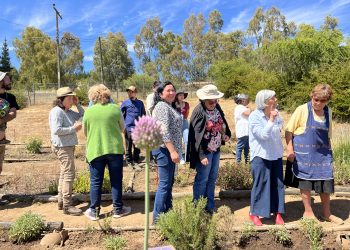 Mujeres rurales del Maule participan en intercambio de experiencias en el uso de plantas medicinales