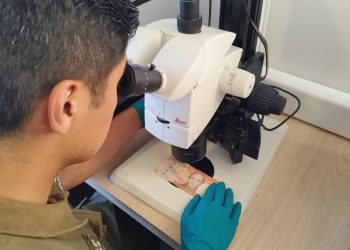 Carabineros alerta sobre circulación de billetes falsos en época navideña y entrega recomendaciones para prevenir estafas