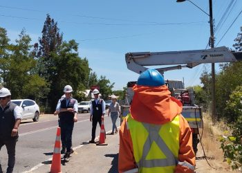 Ministro de Energía (S) participa en faena de poda en cierre de Plan Verano CGE en la región del Maule