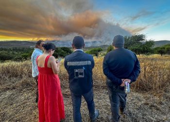 Incendio forestal en sector La Raya de Cauquenes ha consumido más de 1.200 hectáreas