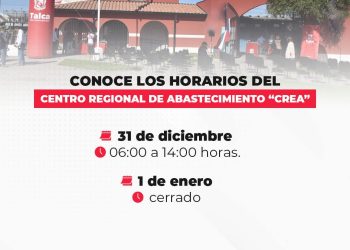 CREA de Talca abrirá este lunes y martes