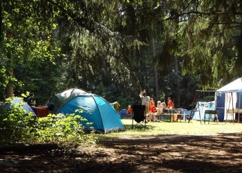 Adolescentes neurodivergentes disfrutan de su primer campamento inclusivo