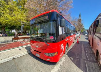 Cuatro años cumple el sistema de transporte gratuito de Talca con más de 500 mil usuarios movilizados