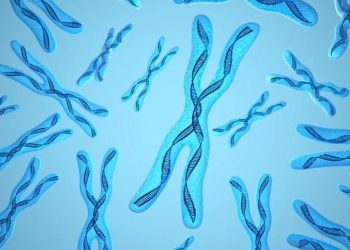 Metapneumovirus humano: el nuevo virus que preocupa a China