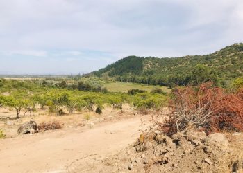 GORE invita a participar en la consulta ciudadana del Anteproyecto del Plan de Acción Regional de Cambio Climático