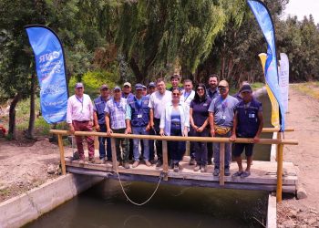 Ministerio de Agricultura lanza calendario de concursos 2025  de la Ley de Riego