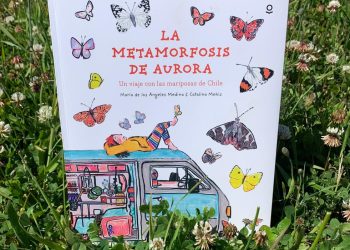 Veraneando entre historias: libros para incentivar la lectura de niños y niñas en vacaciones