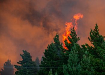 Fuego sin control: la urgente necesidad de repensar la gestión de incendios forestales