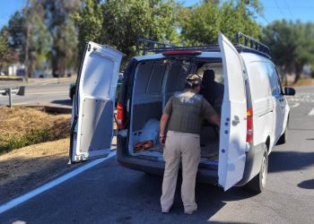 Carabineros refuerza fiscalización en la Ruta 5 Sur para combatir el narcotráfico y garantizar la seguridad vial