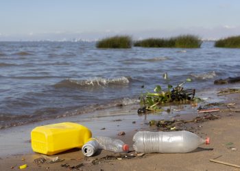 1,7 millones de toneladas de residuos afectan a playas y océanos en Chile