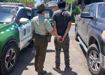Carabineros del SEBV Talca detiene a 8 prófugos y recupera vehículo robado en operativo estival