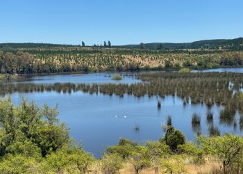 Realizan proceso participativo para determinar Sitios Prioritarios para la conservación de la biodiversidad en la región del Maule
