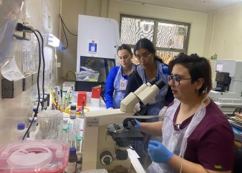 38 mil exámenes realizó el laboratorio del Hospital de Cauquenes durante el 2024