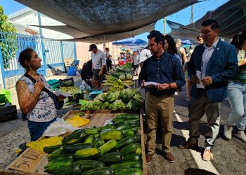 Fijan horario a feria libre de Parral