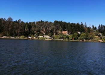 Fiscalizarán playa denunciada por actriz Patricia López en Lago Vichuquén