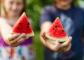 Sandía, un superalimento