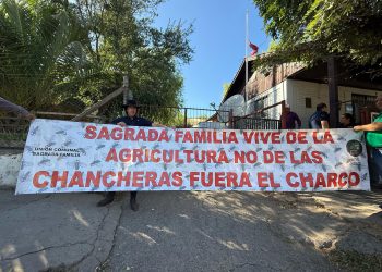 Vecinos y autoridades rechazan instalación de criadero de chanchos en Sagrada Familia