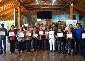 85 personas mayores egresaron de la versión 17 del Programa Vínculos de San Javier, San Clemente y Maule