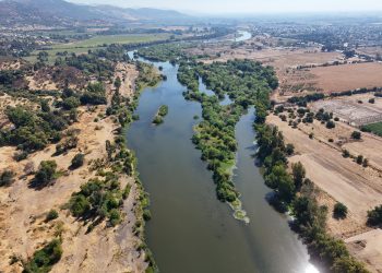 Talca conformó Comité Comunal de Humedales Urbanos