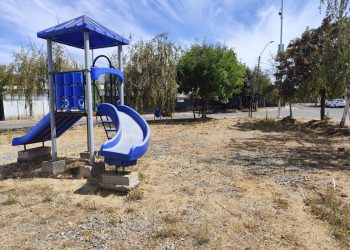 Se reinicia mejoramiento de áreas verdes en Villa Don Guillermo y Población Digua de Parral