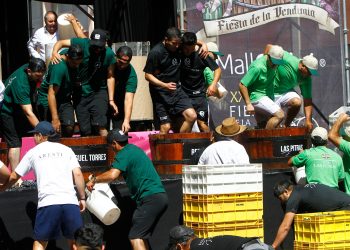 Se preparan detalles para una nueva versión de la Fiesta de la Vendimia Curicó