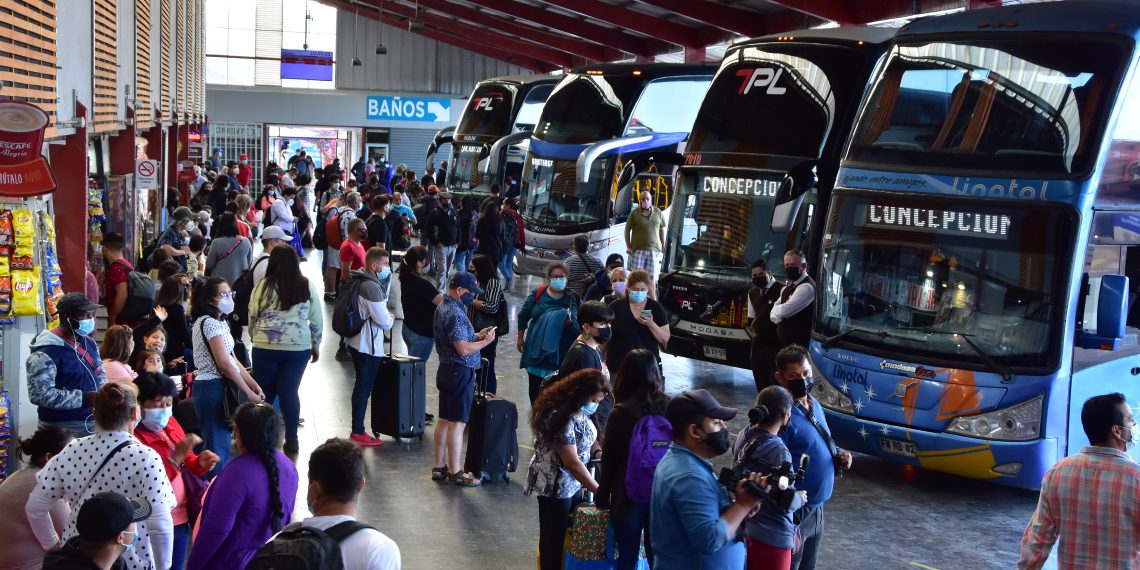 ¿Viajas en bus? Conoce cómo puedes descansar mejor en trayectos largos