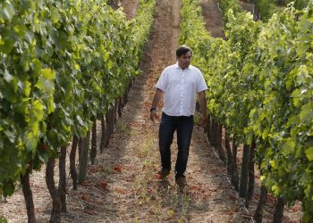 Viña Terranoble logra importante reconocimiento internacional y apuesta por el enoturismo en el Valle del Maule