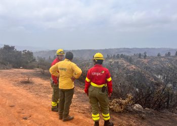 El relevante rol de las brigadas multipropósito en la prevención de incendios