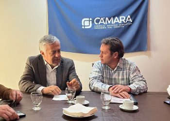 Después de nueve años: gobernador del Maule y su par de Mendoza acuerdan retomar Comité de Integración a fines de septiembre en Chile