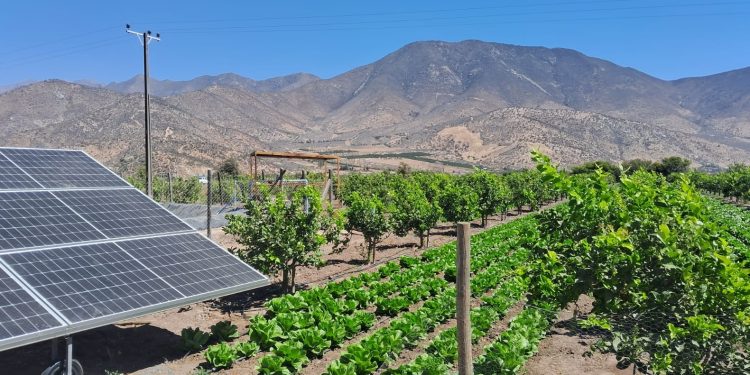 Energía fotovoltaica: productores transforman su forma de regar