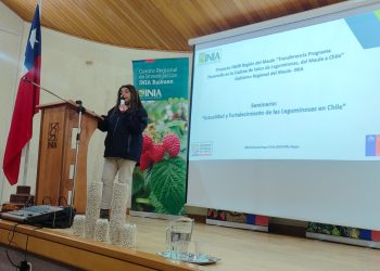 Nueva publicación de INIA destaca oportunidades para potenciar el mercado nacional de legumbres