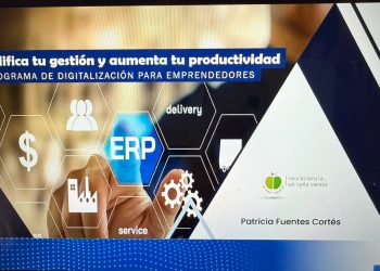 126 emprendedores Maulinos participaron en taller online gratuito sobre gestión y productividad
