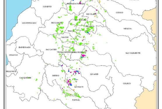 Odepa y Ciren integran nuevo módulo ambiental para identificar las nuevas necesidades del sector frutícola