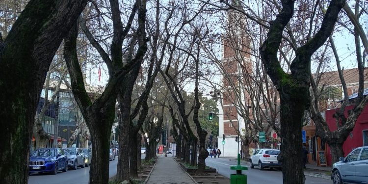 Hasta el 15 de julio hay plazo para participar en Festival de artes Escénicas en espacios públicos de Talca